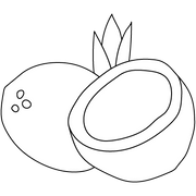 Coconut Milk